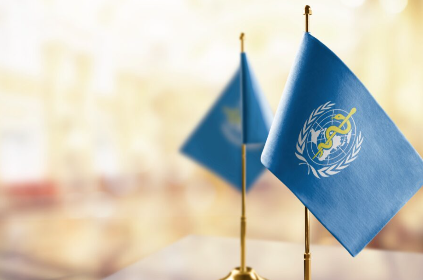 Two flags representating the World Health Organization on the foreground, with a brightly lit background